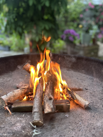 CCB9FC16 43DF 4163 95FB 96C093931E44 1 201 a